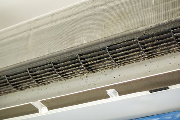 Best HVAC Air Duct Cleaning  in Vail, AZ